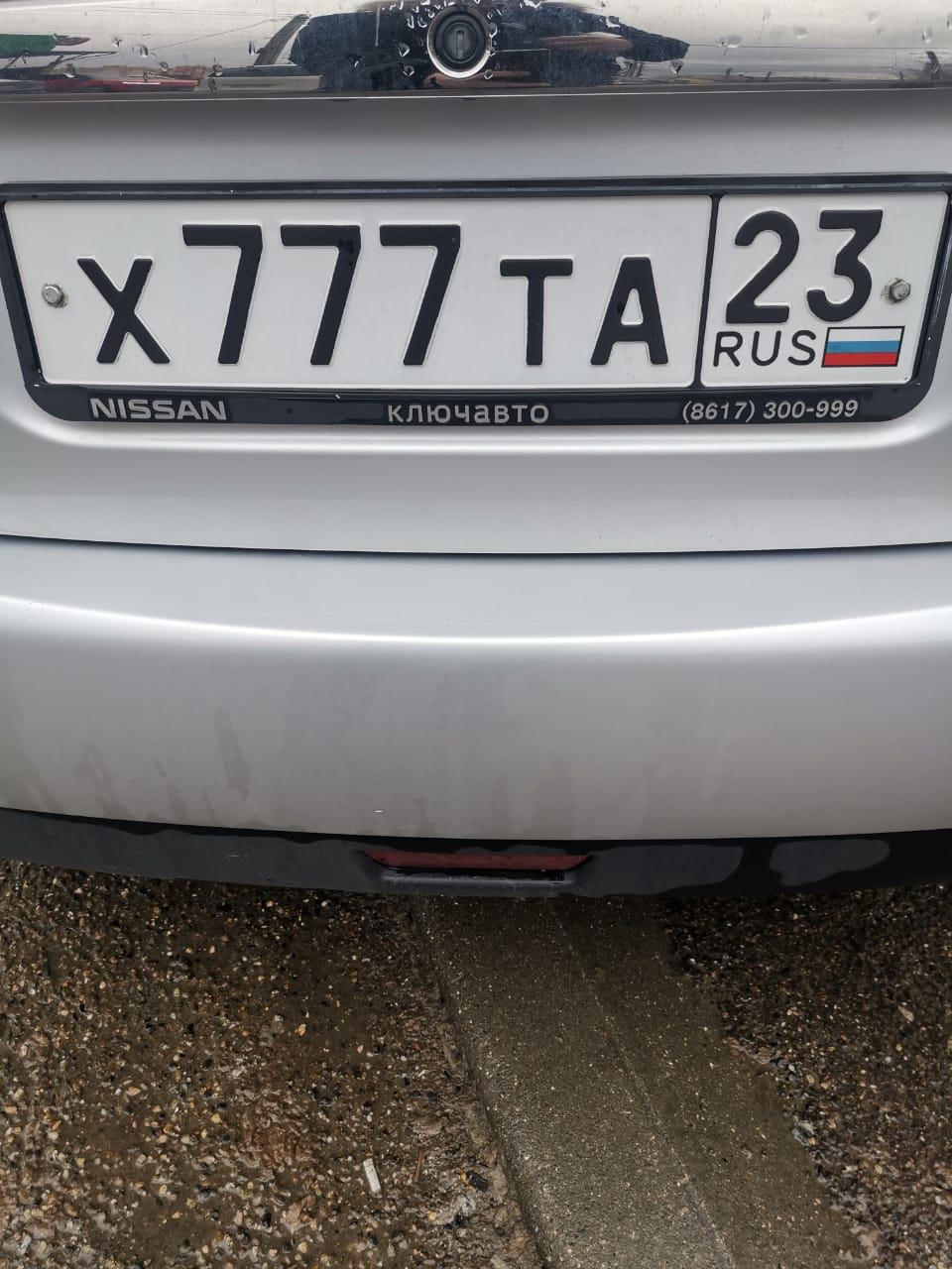 Аватар продавца Pups